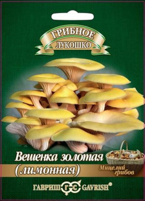 Изображение загружено