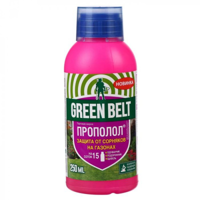 Изображение загружено