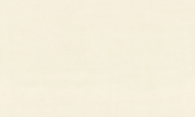 8091-08-раппорт