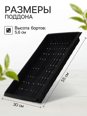 Поддон для рассады 55 х 30 х 5,6 см, пластик (С отверствиями), "Greengo"    