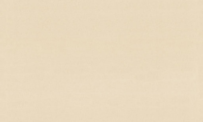 9299-02-раппорт