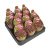 B008361_0000262775_H_1