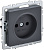 BR-R10-10-K53 Brite графит Розетка СП 1м 10А IEK