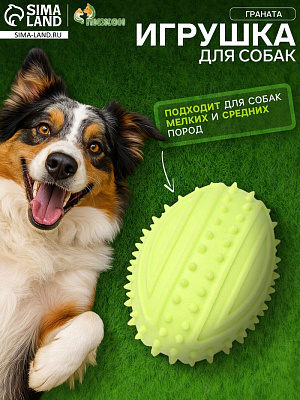 Игрушка жевательная Граната TPR 10см салатовая   