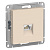 ATN000283 AtlasDesign бежевый Розетка RJ45 СП 1м механизм SchE