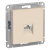 ATN000283 AtlasDesign бежевый Розетка RJ45 СП 1м механизм SchE ATN000283 AtlasDesign бежевый Розетка RJ45 СП 1м механизм SchE